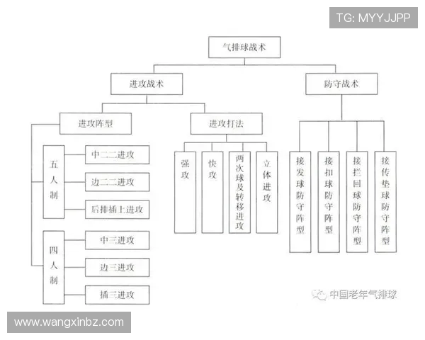 武汉排球队战术解析与对比研究揭示球队优势与不足